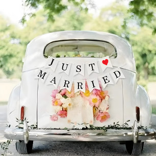 Just Married Wedding Send-Off Car Decorations Bunting