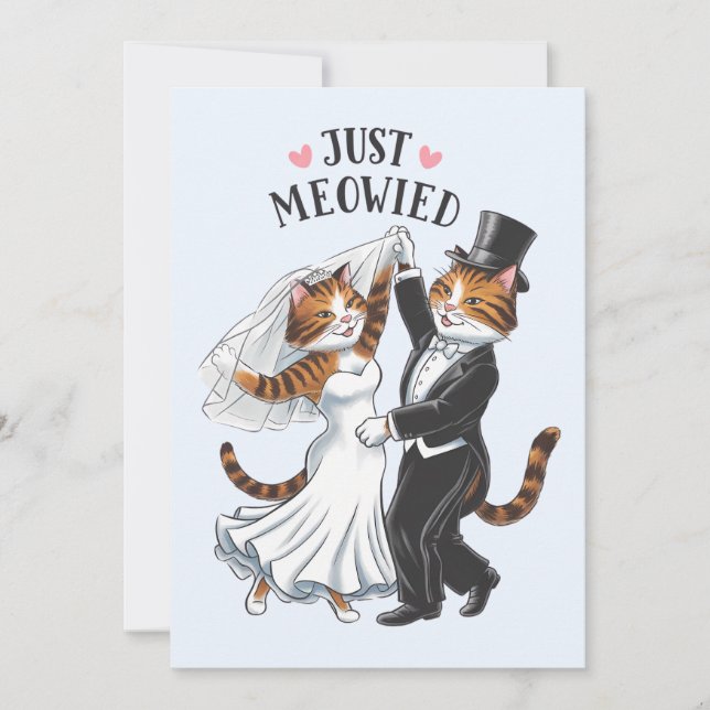 Just Meowied Married Couples Cat Funny Wedding Invitation (Front)