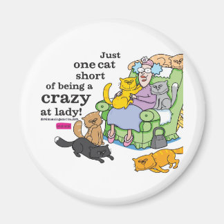Just One Cat Short Of Being A Crazy Cat Lady Magnet