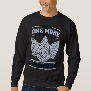 Just One More Arrowhead Rocks Flint Arrowhead Coll Sweatshirt