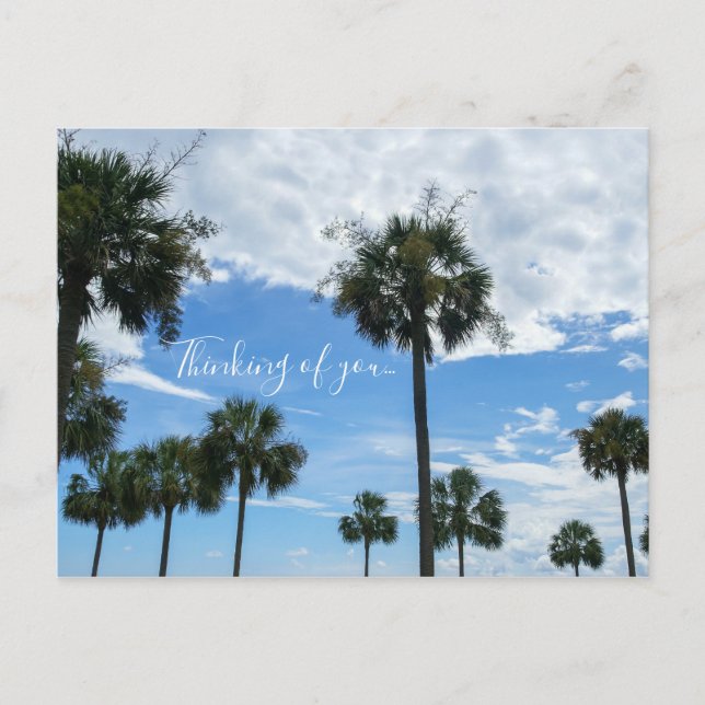 Just Palm Trees Thinking Of You Postcard (Front)