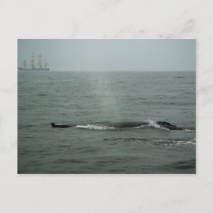 Just Passing By Postcard