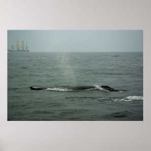 Just Passing By Print