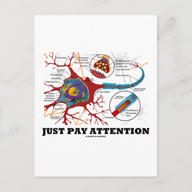 Just Pay Attention (Neuron / Synapse) Postcard (Front)