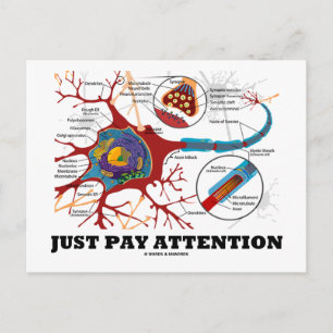 Just Pay Attention (Neuron / Synapse) Postcard