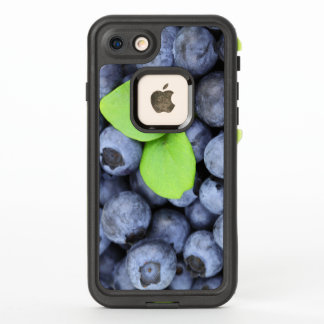 Just Picked Fresh Delicious Blueberries