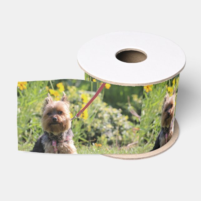 Just plain darling grosgrain ribbon (Spool)