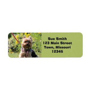 Just plain darling return address label