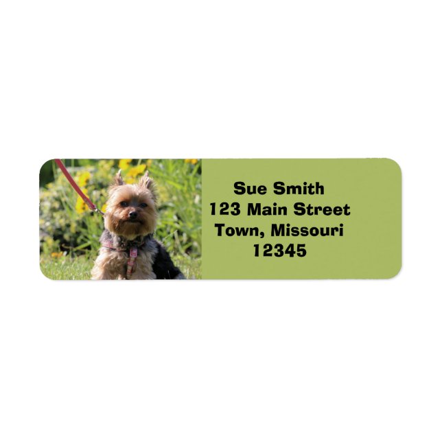Just plain darling return address label (Front)