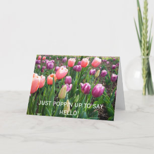 JUST POPPIN UP TO SAY HELLO! Blank Card