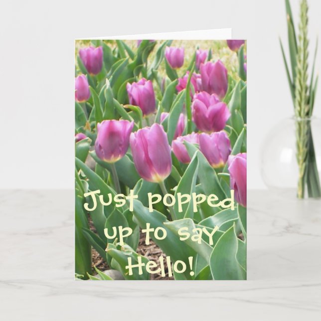JUST POPPIN UP TO SAY HELLO! CARD (Front)