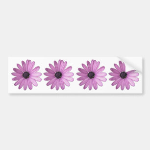 Just Purple Daisies  Floral Photo Bumper Sticker