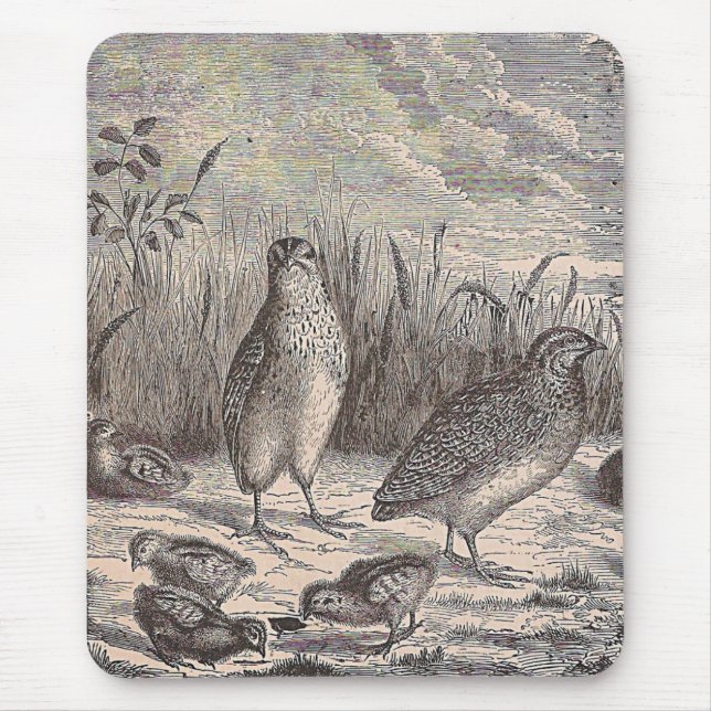Just Quail Mouse Pad (Front)