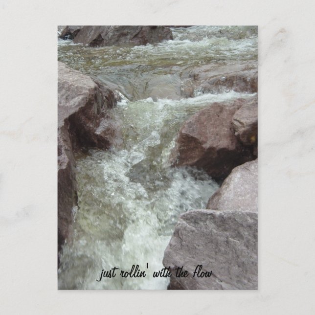 just rollin' with the flow announcement postcard (Front)