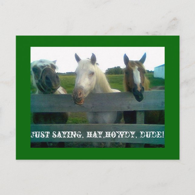 Just saying, hay,howdy, dude! postcard (Front)