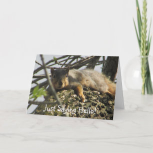 Just Saying Hello Cute Squirrel in Tree Card