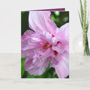 Just Saying Hello Flower Greeting Card