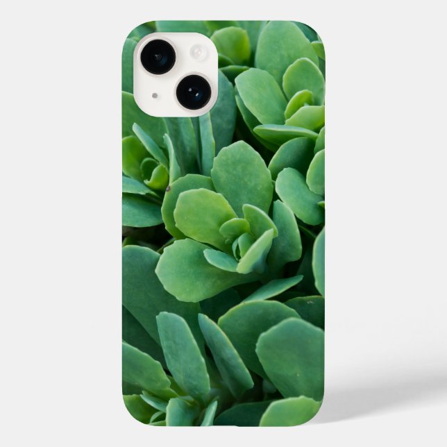 Just Sedum iPhone Case (Back)
