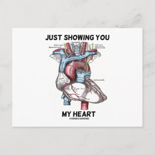 Just Showing You My Heart (Anatomical Heart) Postcard