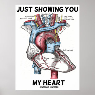 Just Showing You My Heart (Heart Anatomy) Poster