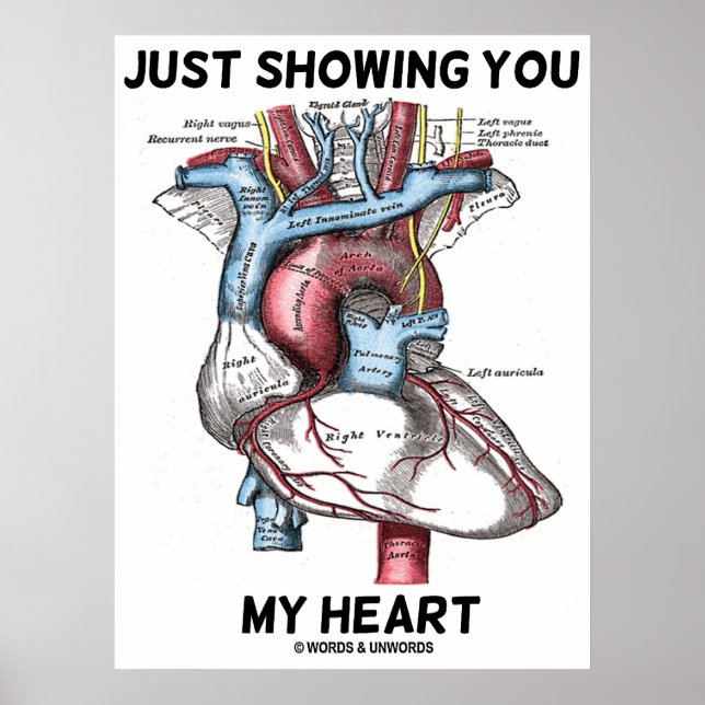 Just Showing You My Heart (Heart Anatomy) Poster (Front)