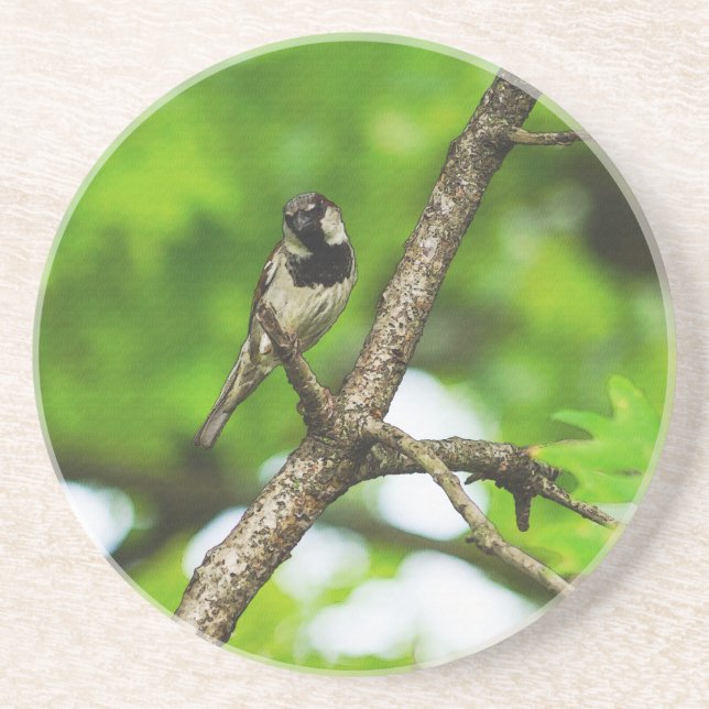 Just Sitting Around Coaster (Front)