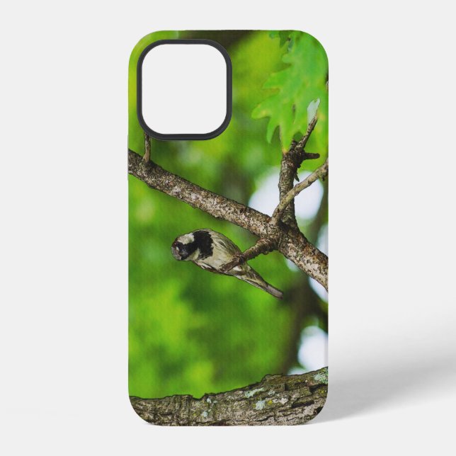 Just Sitting Around iPhone Case (Back)