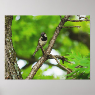 Just Sitting Around Poster