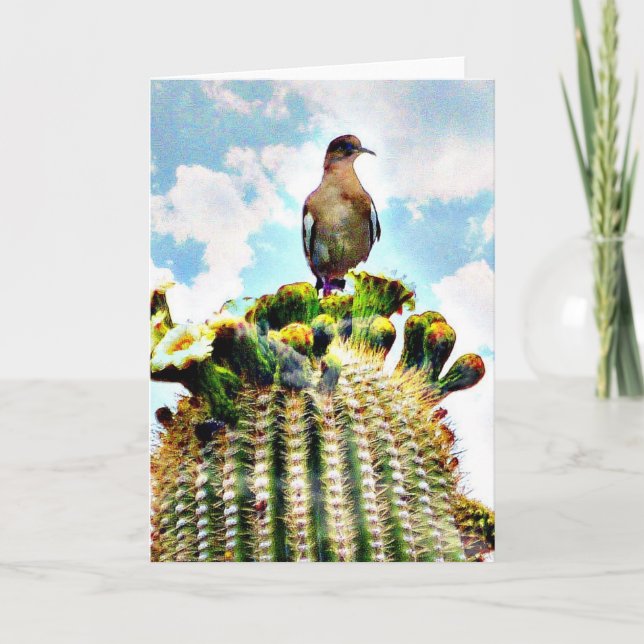 Just sitting on a saguaro card (Front)