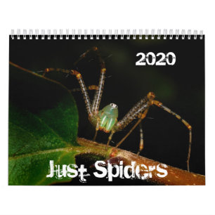 Just Spiders Calendar, 2020 Calendar