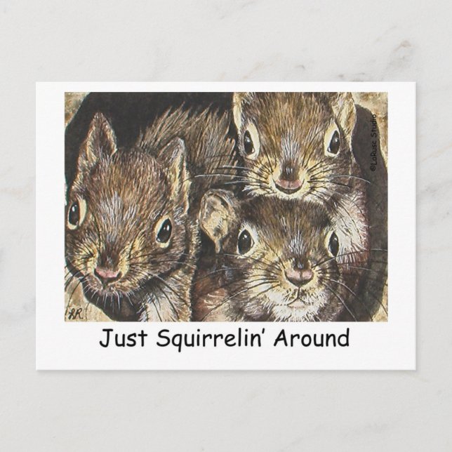 Just Squirrellin' Around Postcard (Front)