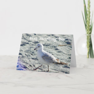 JUST STROLLING BY TO SAY *HAPPY BIRTHDAY TO YOU* HOLIDAY CARD