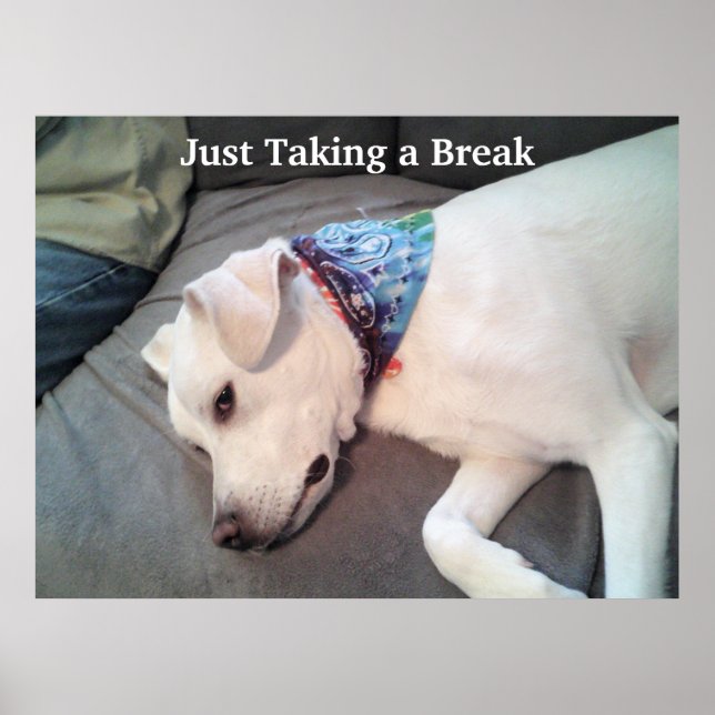 Just Taking A Break Cute Tired White Puppy Dog Poster (Front)