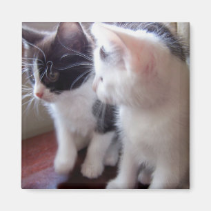 Just the two of us Magnet