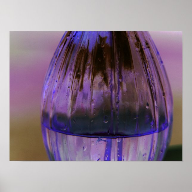 Just the Vase Poster (Front)