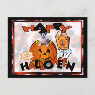 Just Too Cute Bulldog Puppy Peeking Out of Pumpkin Postcard
