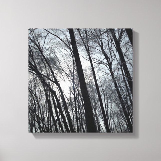 Just Trees Canvas Print (Front)