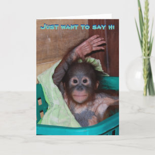Just Want to Say Hi - Waving Orangutan Card