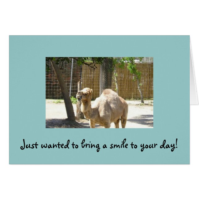 Just wanted to bring a smile to your day (Front Horizontal)