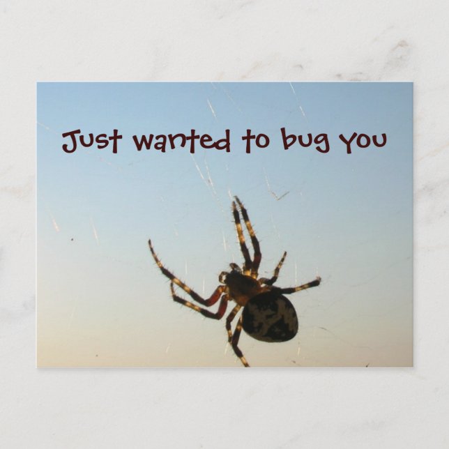 Just Wanted to Bug You Postcard (Front)