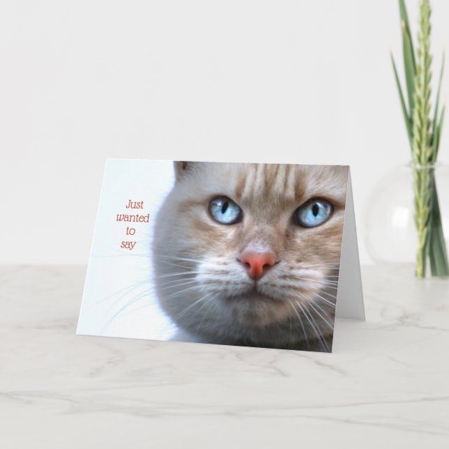 Just wanted to say (cat face) thank you card (Front)