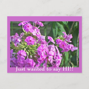 Just wanted to say HI!! Postcard