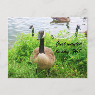 JUST WANTED TO SAY "HI!" postcard