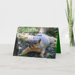 JUST WANTED TO WISH YOU TO MERRY CHRIS... HOLIDAY CARD