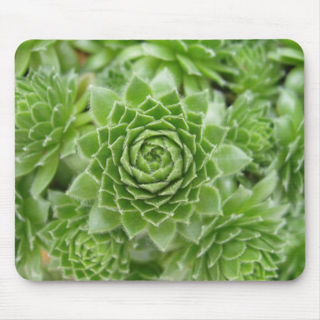 Just WOW! Mouse Pad (Front)