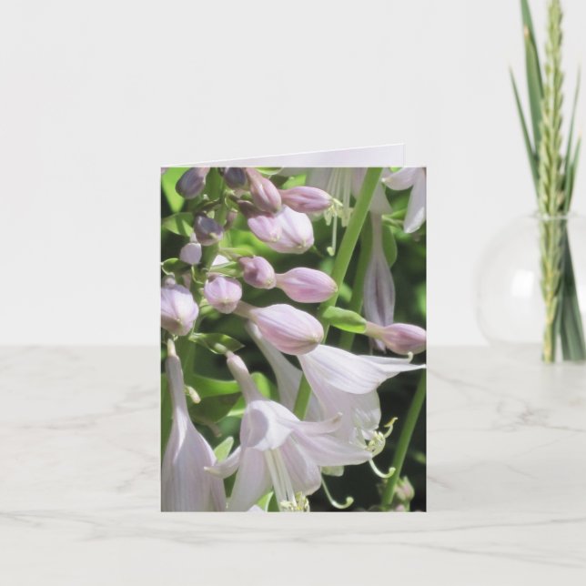 Justa Hosta customizable Notecard or Greeting Card (Front)