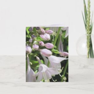 Justa Hosta customizable Notecard or Greeting Card