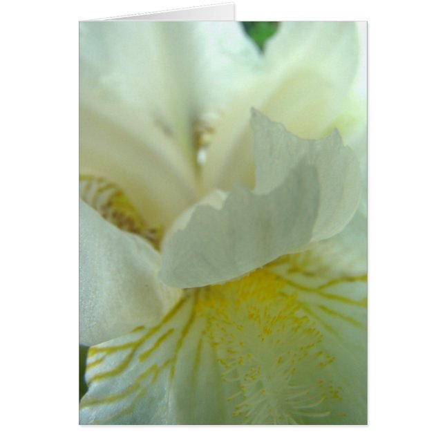 juste de tout (Front)