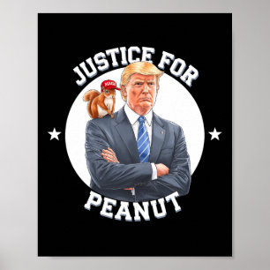 Justice For Peanut The Squirrel – Christmas Xmas S Poster