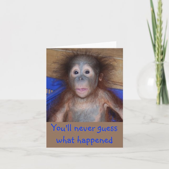 Jusy Say Hi Add Your Own Greeting Card (Front)